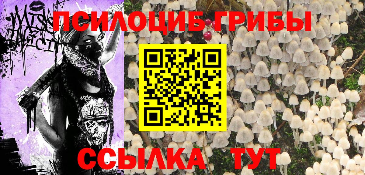 Галлюциногенные грибы мицелий  Вход с VPN  Тосно 