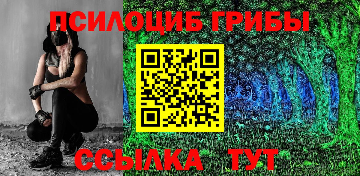 Псилоцибиновые грибы прущие грибы Тосно